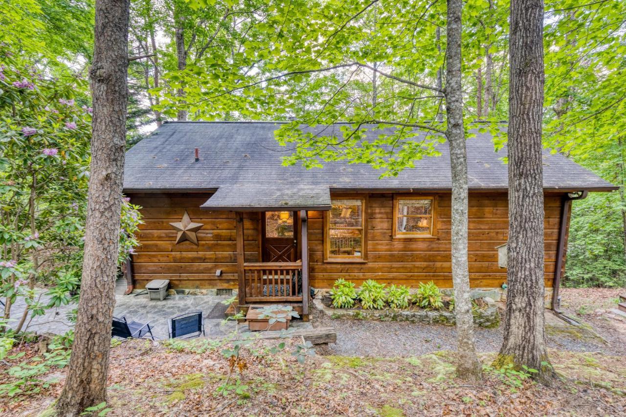 Secluded Sunrise Ridge-10 Min From Blue Ridge, King Beds, Hot Tub, 2 Porches, Fireplace Wood Burning, Mountain View, Cozy Exteriör bild
